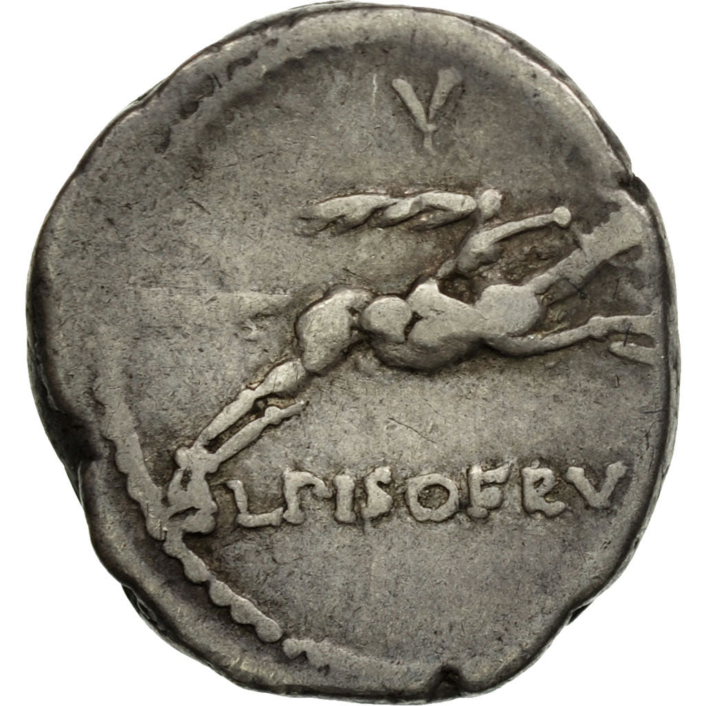 Acuñar,
calpurnia,
Dinar