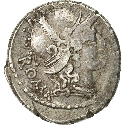 Acuñar, 
  
  carisa, 
  
  Dinar