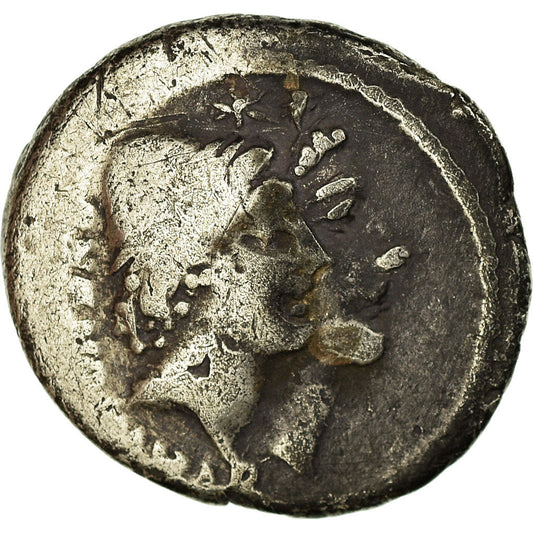 Moneda,

Cordia,

Dinar