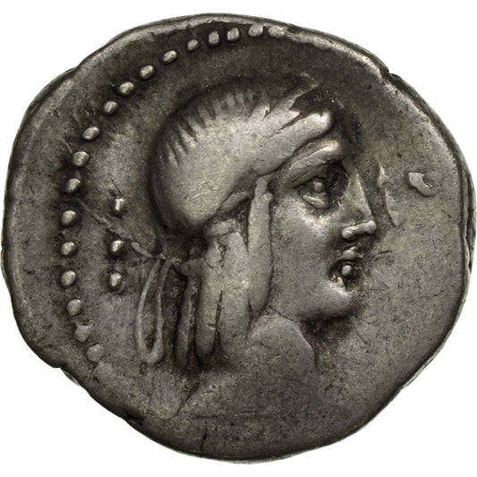 Acuñar, 
  
  calpurnia, 
  
  Dinar