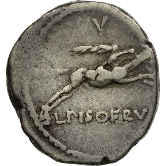 Acuñar, 
  
  calpurnia, 
  
  Dinar