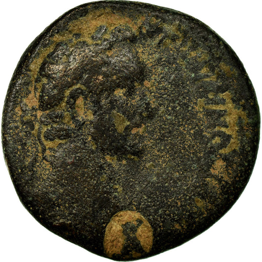 Acuñar, 
  
  Seleuco y Pieria, 
  
  Antonino Pío
