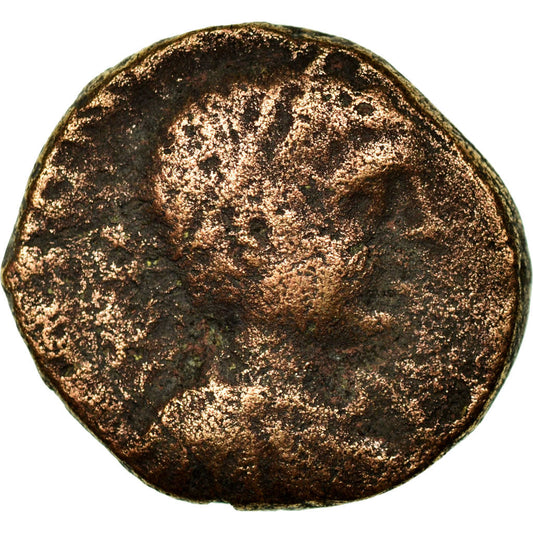 Moneda,

Judea,

Antípatras