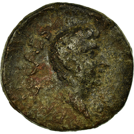 Moneda,

Druso,

Bronce Æ