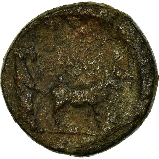 Moneda,

Druso,

Bronce Æ