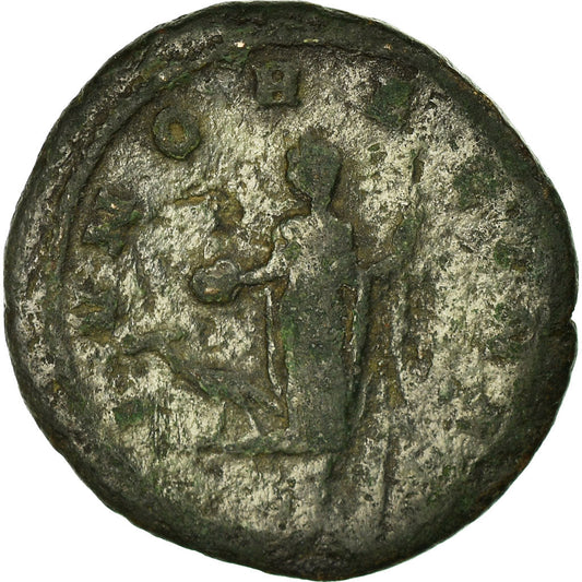 Acuñar,
 
 Severina,
 
 Sestercio