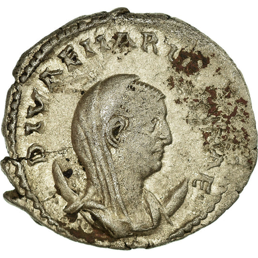 Acuñar, 
  
  mariana, 
  
  Antoniniano